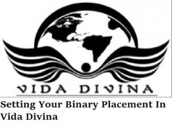 Binary Option Tutorials - GetBinary Video Course VIDA DIVINA TRAINING|Setting Your B