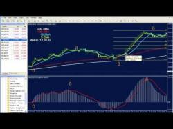 Binary Option Tutorials - trading click ♕ my companyBest Forex Trading Syst