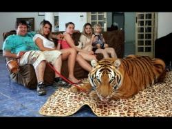 Binary Option Tutorials - AAoption Video Course Living With Tigers: Family Share Ho