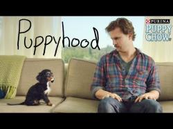 Binary Option Tutorials - AAoption Video Course Puppyhood