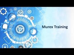 Binary Option Tutorials - 10Trade Video Course Murex training demo video | murex o