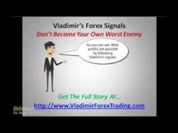 Binary Option Tutorials - trader forex What is the Best Forex MT4 Trading 