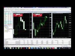 Binary Option Tutorials - forex foreign Forex Trading for Beginners if you 
