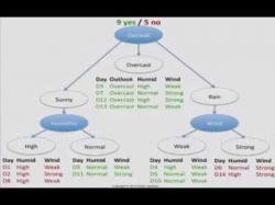 Binary Option Tutorials - Binary Book Video Course Decision Tree 1: how it works