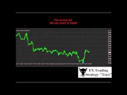 Binary Option Tutorials - trader toro Forex trading strategies TORO tutor