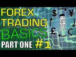 Binary Option Tutorials - forex part Forex Trading Basics: Forex Trading