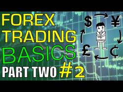 Binary Option Tutorials - forex part Forex Trading Basics: Forex Trading