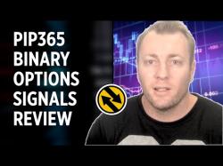 Binary Option Tutorials - Bee Options Video Course PIP365 Binary Options Signals Revie