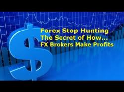 Binary Option Tutorials - forex hunter Forex Brokers Stop Hunting the Myth