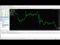 Binary Option Tutorials - forex hunter How to download and install Forex T