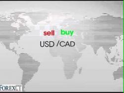 Binary Option Tutorials - forex terms 1. Basic Forex terms