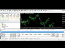 Binary Option Tutorials - trading plan Live Stream-Forex Trading $100 to $