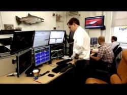 Binary Option Tutorials - trader forex Trading on Forex - Interview of a f
