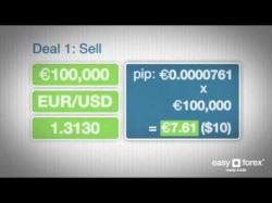 Binary Option Tutorials - forex education 03   What is a pip    easy forex   
