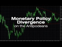 Binary Option Tutorials - trader jarratt Monetary policy divergence | AUD/NZ
