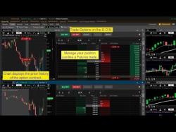 Binary Option Tutorials - Capital Option Video Course Thinkorswim Options Trading Tutoria