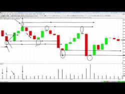 Binary Option Tutorials - trader with Rob Hoffman Trader Discusses Profes
