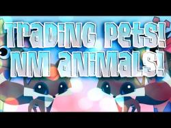 Binary Option Tutorials - trading nonmembers TRADING PETS? NON MEMBER ANIMALS? (
