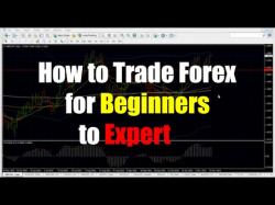 Binary Option Tutorials - trading setup Forex Trading for Beginners - Live 