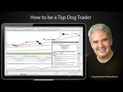 Binary Option Tutorials - trader barry How to be aTop Dog Trader