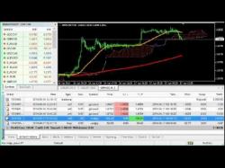 Binary Option Tutorials - trading south South Africa's Youngest Forex Trade