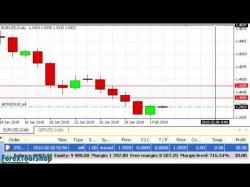 Binary Option Tutorials - forex charts How to read basic Forex charts