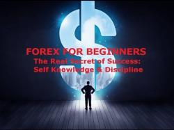 Binary Option Tutorials - forex secret Forex Trading for Beginners - Learn