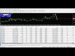 Binary Option Tutorials - forex scalp What Will My Daily Draw Down Stop B