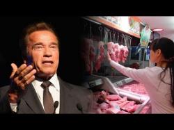 Binary Option Tutorials - VPOption Video Course Arnold Schwarzenegger Wants China T