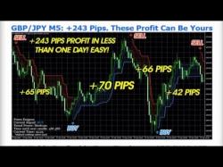Binary Option Tutorials - trading around How to Trade Forex 5 Tips That Will