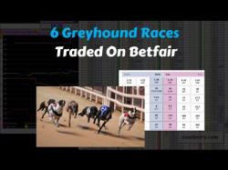 Binary Option Tutorials - trading greyhounds Trading the Greyhounds on Betfair E