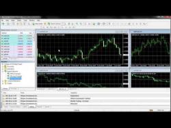 Binary Option Tutorials - forex atomated automated forex trading software