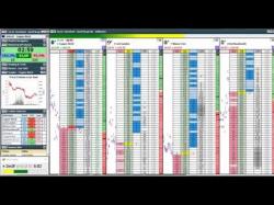 Binary Option Tutorials - trader junior Trader em corridas de cavalos - Hrd