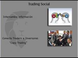 Binary Option Tutorials - trading social Trading Social ¿Ganar-ganar? Webi